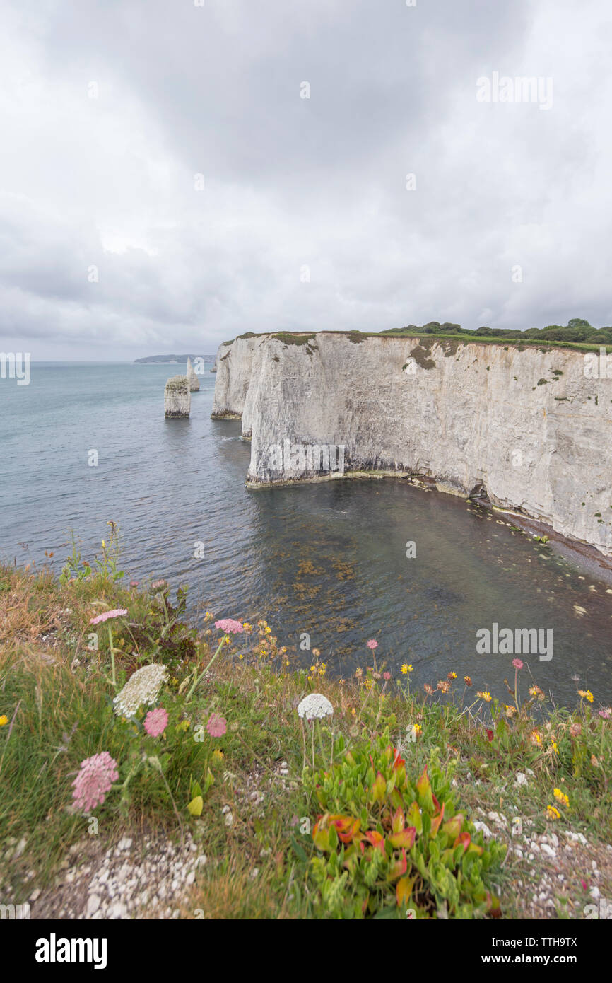 Patrimoine Purbeck Banque De Photographies Et D images Haute patrimoine-purbeck-banque-de-photographies-et-d-images-haute