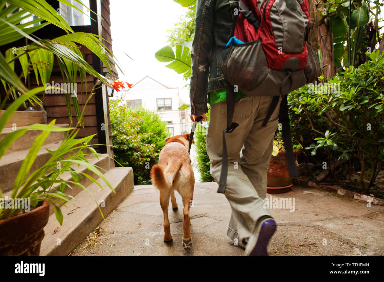 Vue arrière de la femme et le chien marche sur tapis roulant Banque D'Images