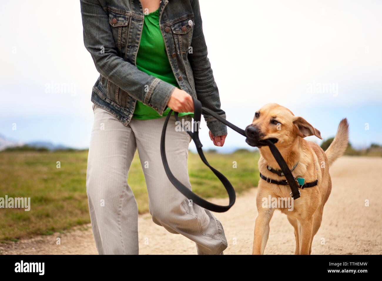 Femme et chien marche sur route contre sky Banque D'Images