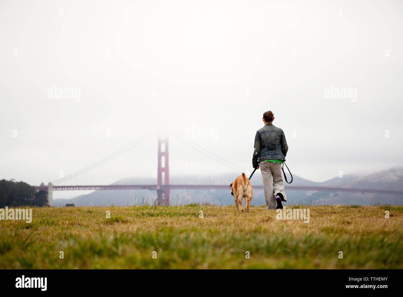 Vue arrière de la femme et de dog walking on grassy field au Golden Gate Park Banque D'Images