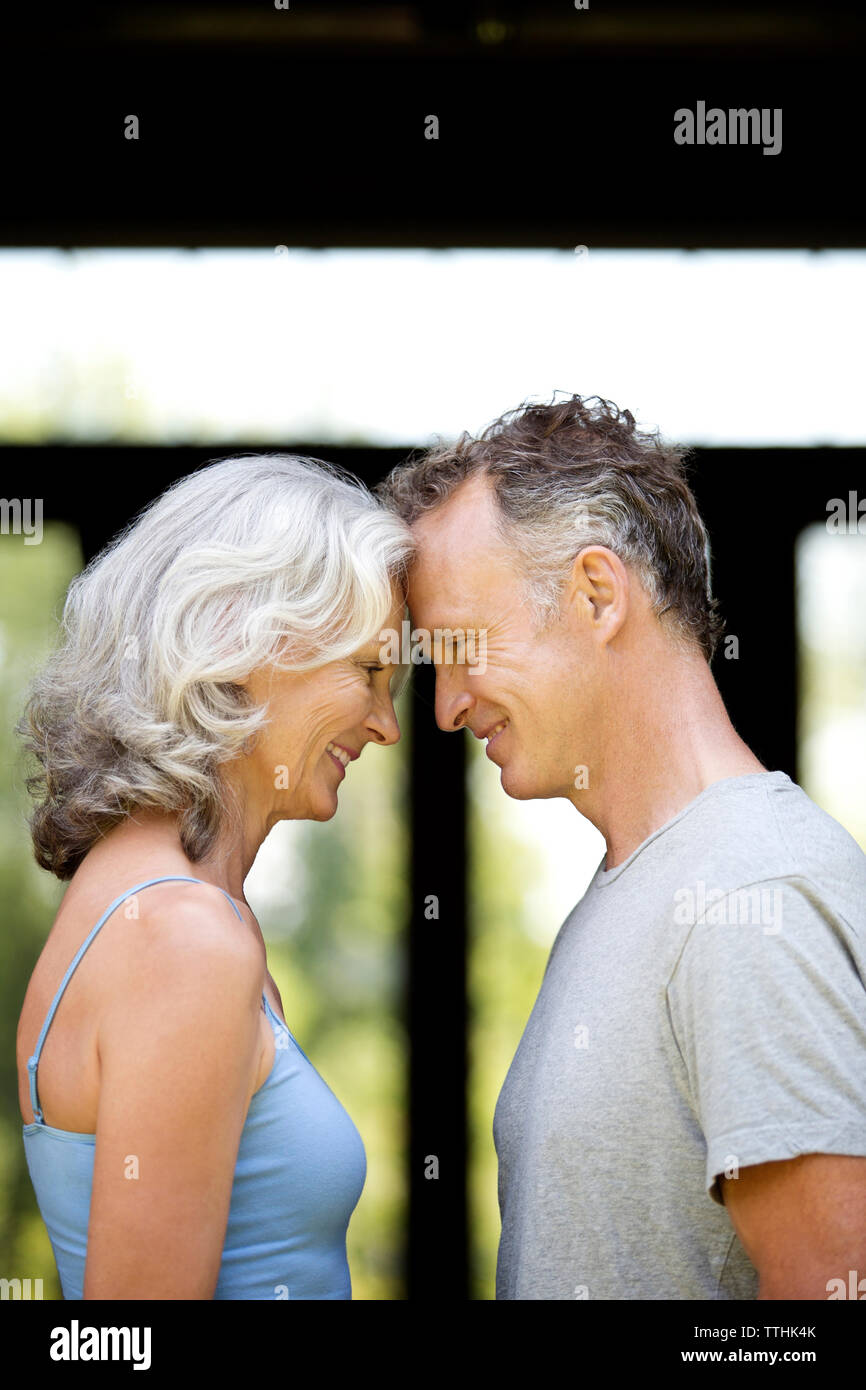 Voir le profil de l'heureux couple Banque D'Images