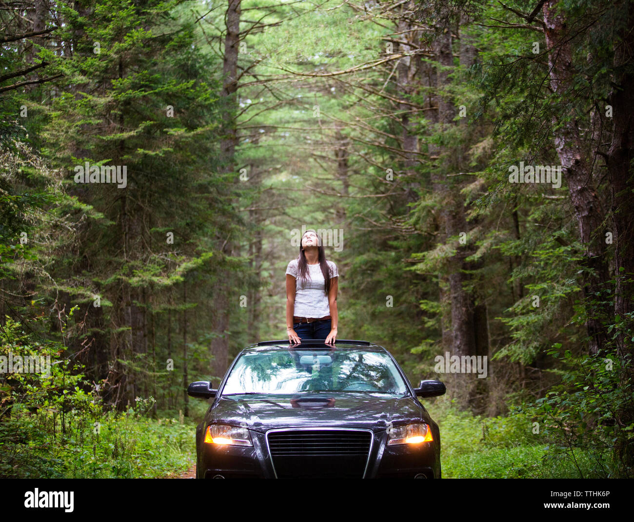 Femme debout dans la voiture au milieu d'arbres à forest Banque D'Images