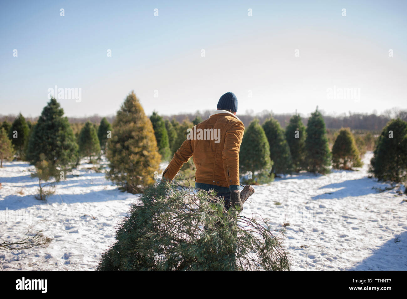 Homme portant l'arbre de noël sur la ferme couverte de neige contre le ciel Banque D'Images