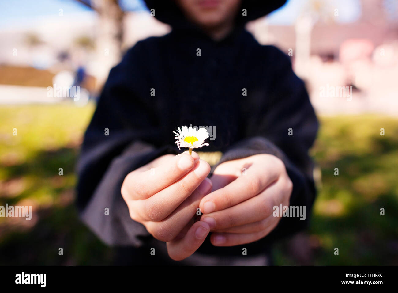 Portrait of Girl holding flower at park Banque D'Images