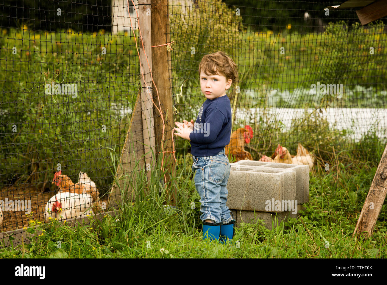 Portrait of boy standing in field Banque D'Images Portrait of boy standing in field Banque D'Images