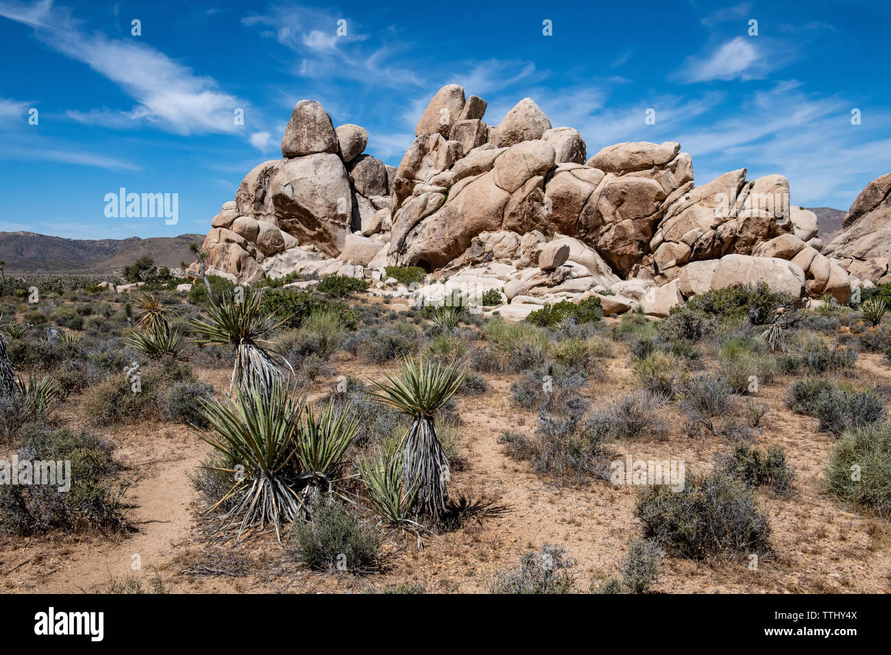 Hall d'Horreurs Rock Formation à Joshua Tree National Park, Californie du Sud, USA Banque D'Images