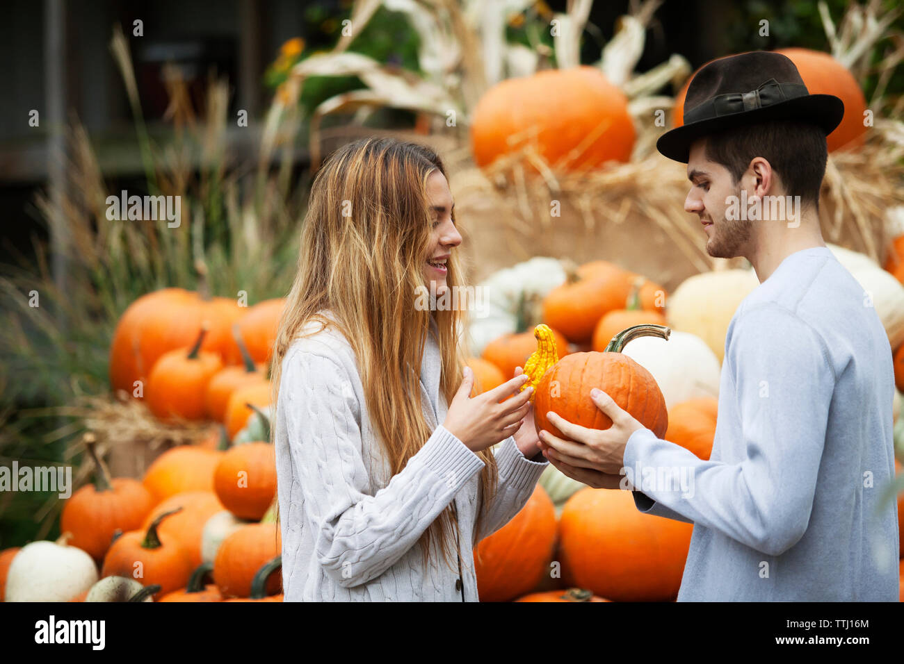 Heureux couple holding pumpkins at farm Banque D'Images