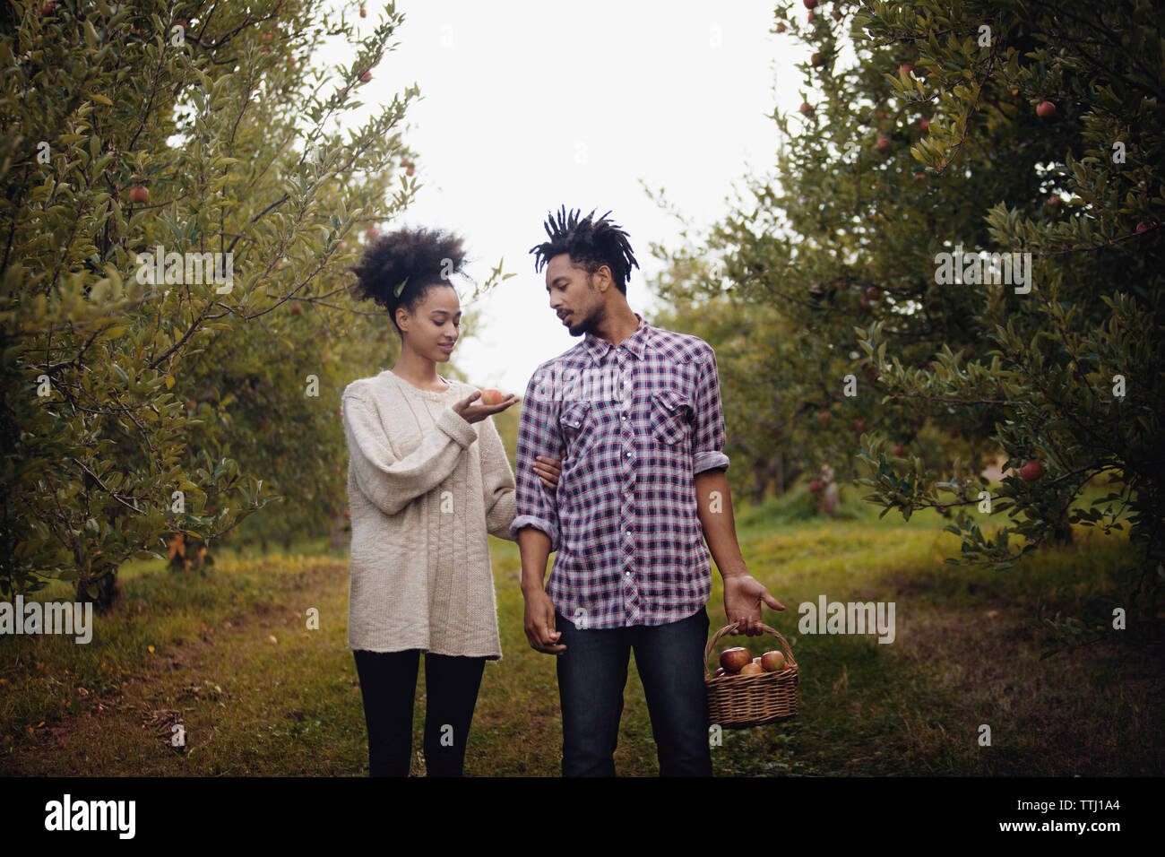 Couple standing in apple orchard Banque D'Images