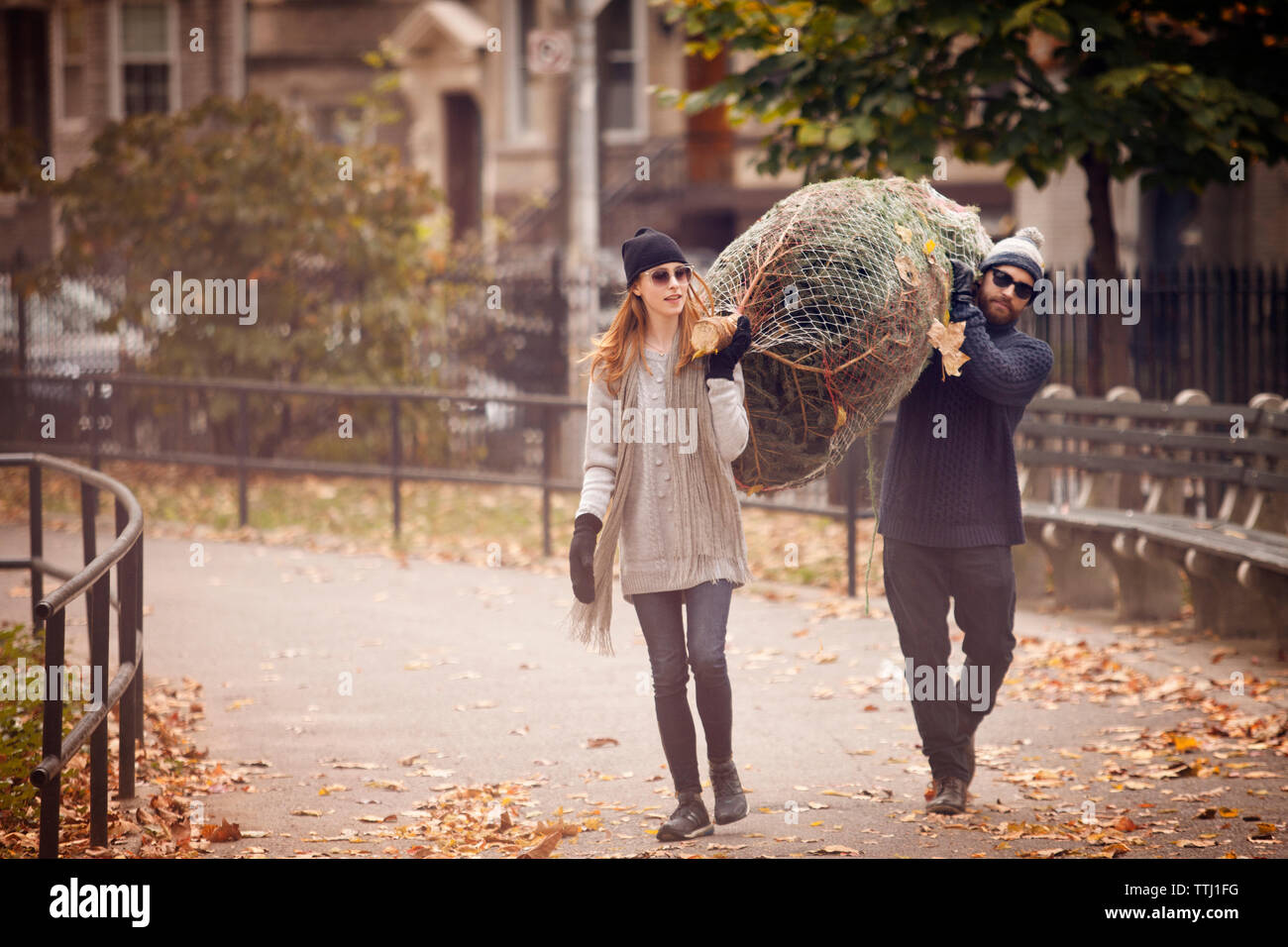 Couple carrying christmas tree while walking Banque D'Images