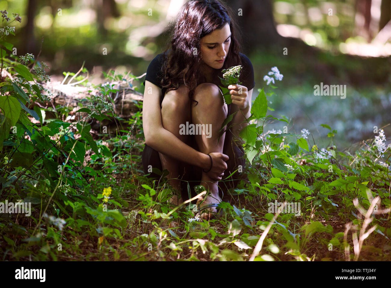 Teenage girl holding tige de la plante tout en étant assis dans la forêt Banque D'Images
