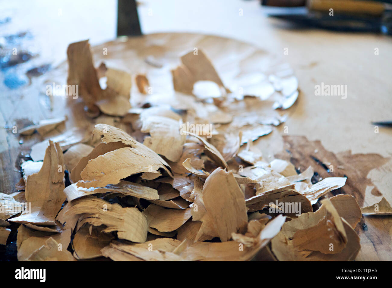 Close-up de copeaux de bois sur la table d'atelier Banque D'Images