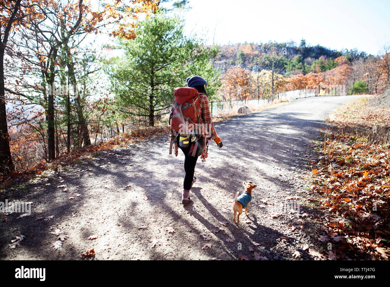 Rear view of woman with dog walking on road Banque D'Images