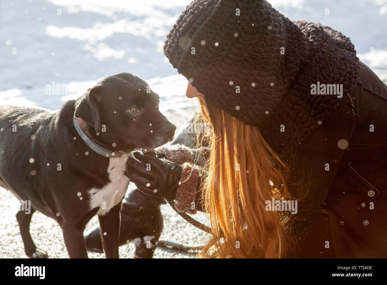 Femme avec chien sur le terrain couvert de neige Banque D'Images
