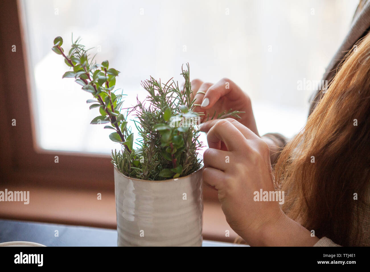 Portrait Woman picking les feuilles des plantes dans la maison d'herbe Banque D'Images