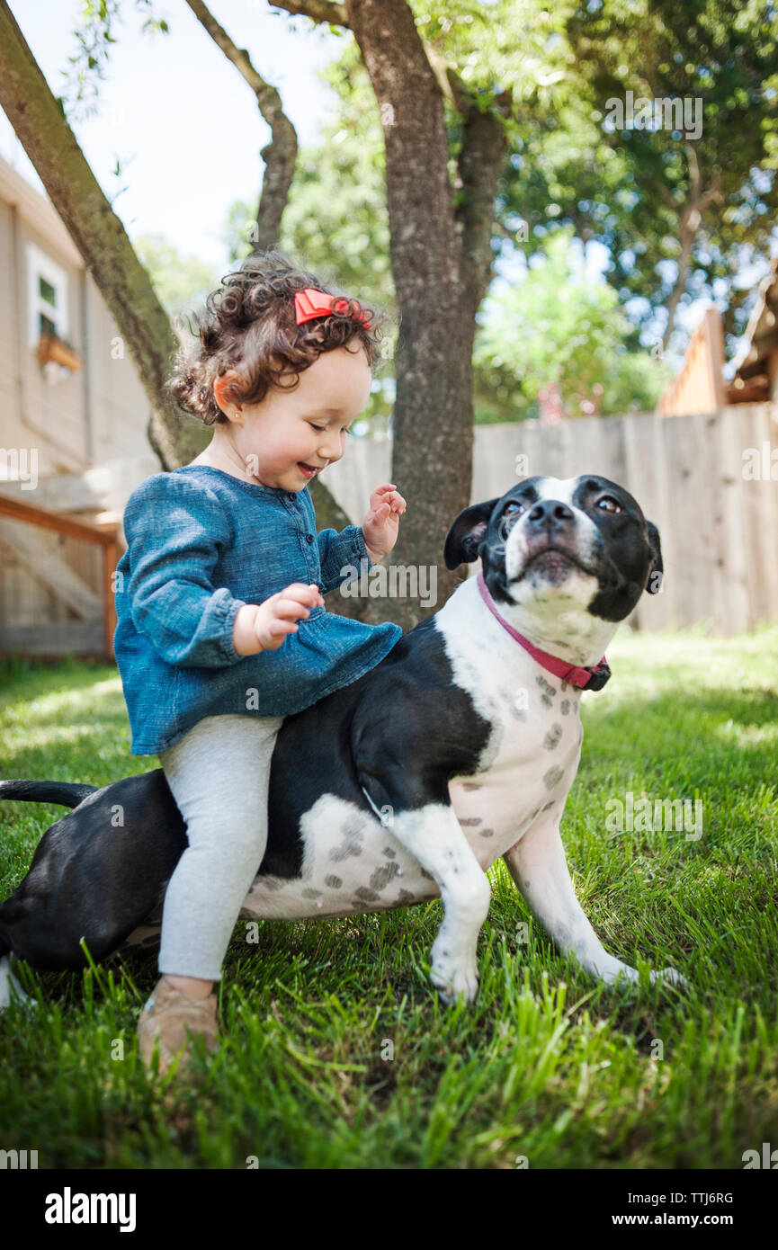 Happy baby girl sitting on dog in backyard Banque D'Images