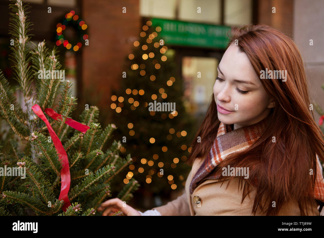 Femme magasinant pour l'arbre de noël au magasin Banque D'Images