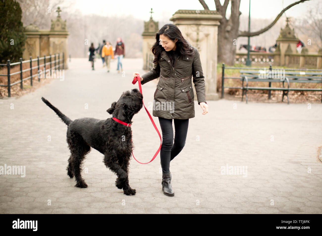 Happy woman looking at dog lors de la marche sur sentier Banque D'Images