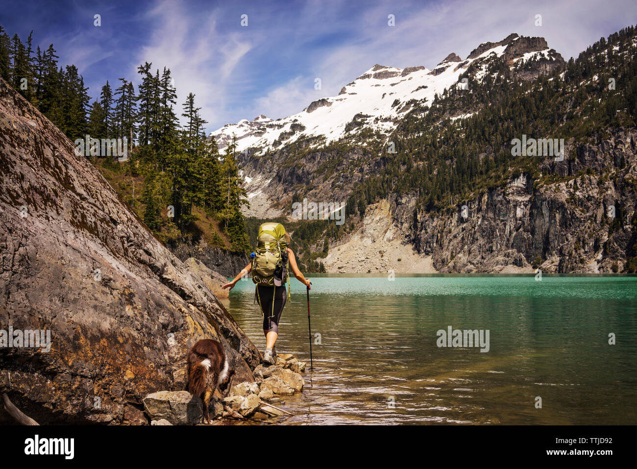 Rear view of woman with dog walking by lake Banque D'Images