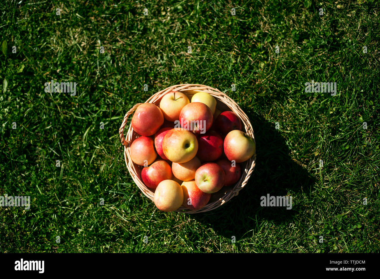 Vue aérienne de pommes dans le panier sur terrain Banque D'Images