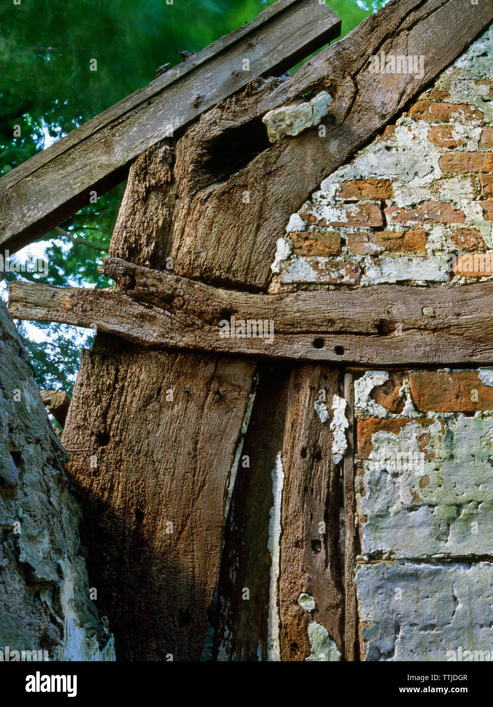 Détail de l'épaule et fixez les conjoints de faisceau d'un chêne cruck ruines dans un bâtiment de ferme à pans de bois à Bwlch, Aifft Ucha, Denbighshire, UK. Banque D'Images
