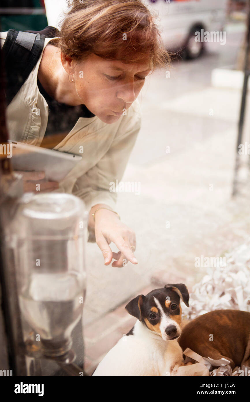 Femme à la recherche de chiot en magasin Banque D'Images