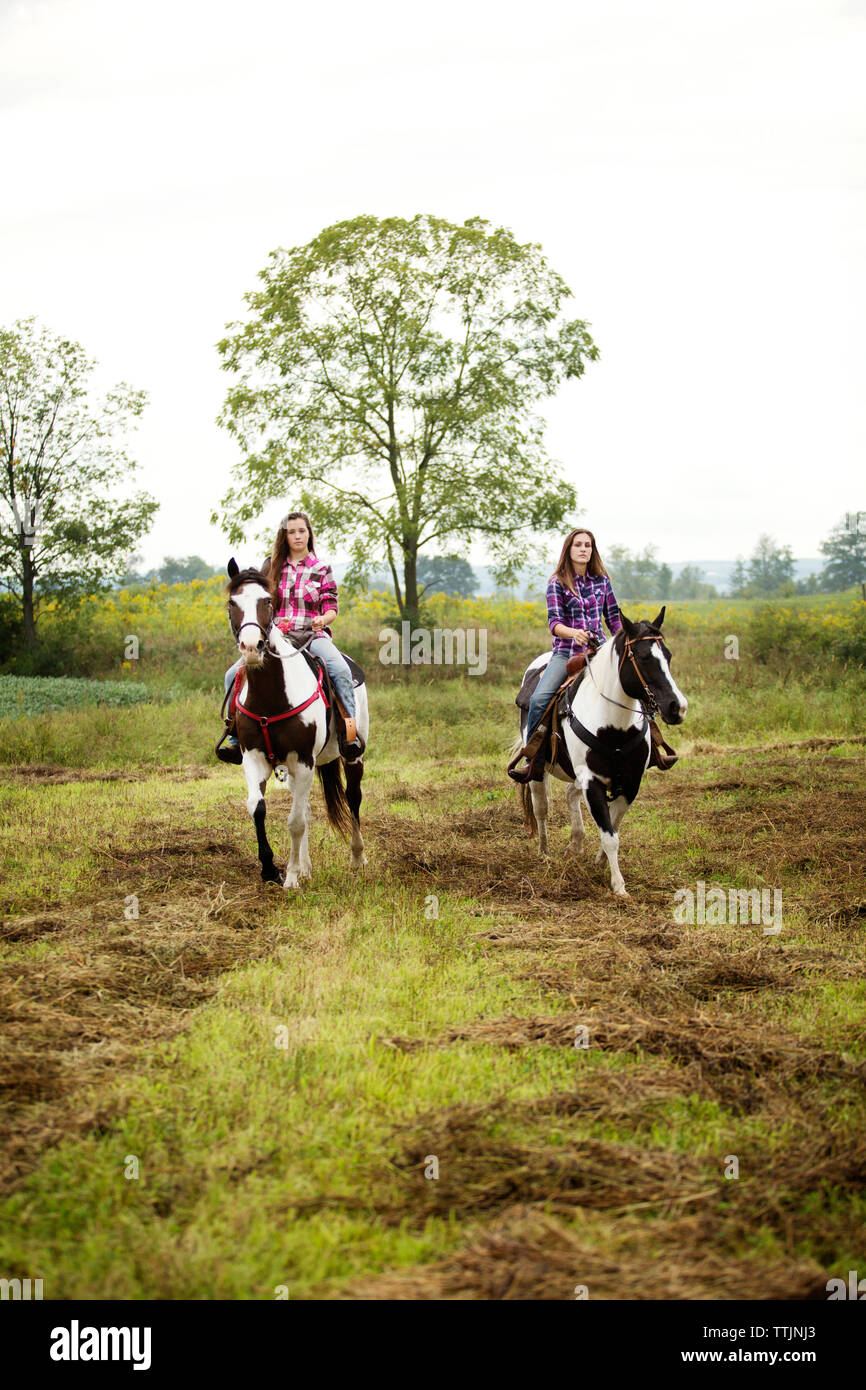 Cowgirls assis sur des chevaux contre le ciel Banque D'Images