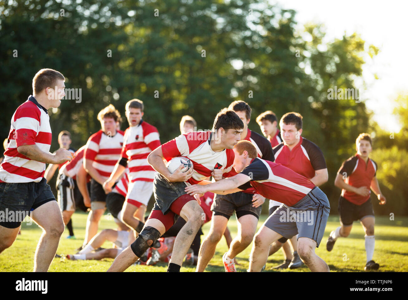 L'équipe de rugby sur le terrain de jeu Banque D'Images