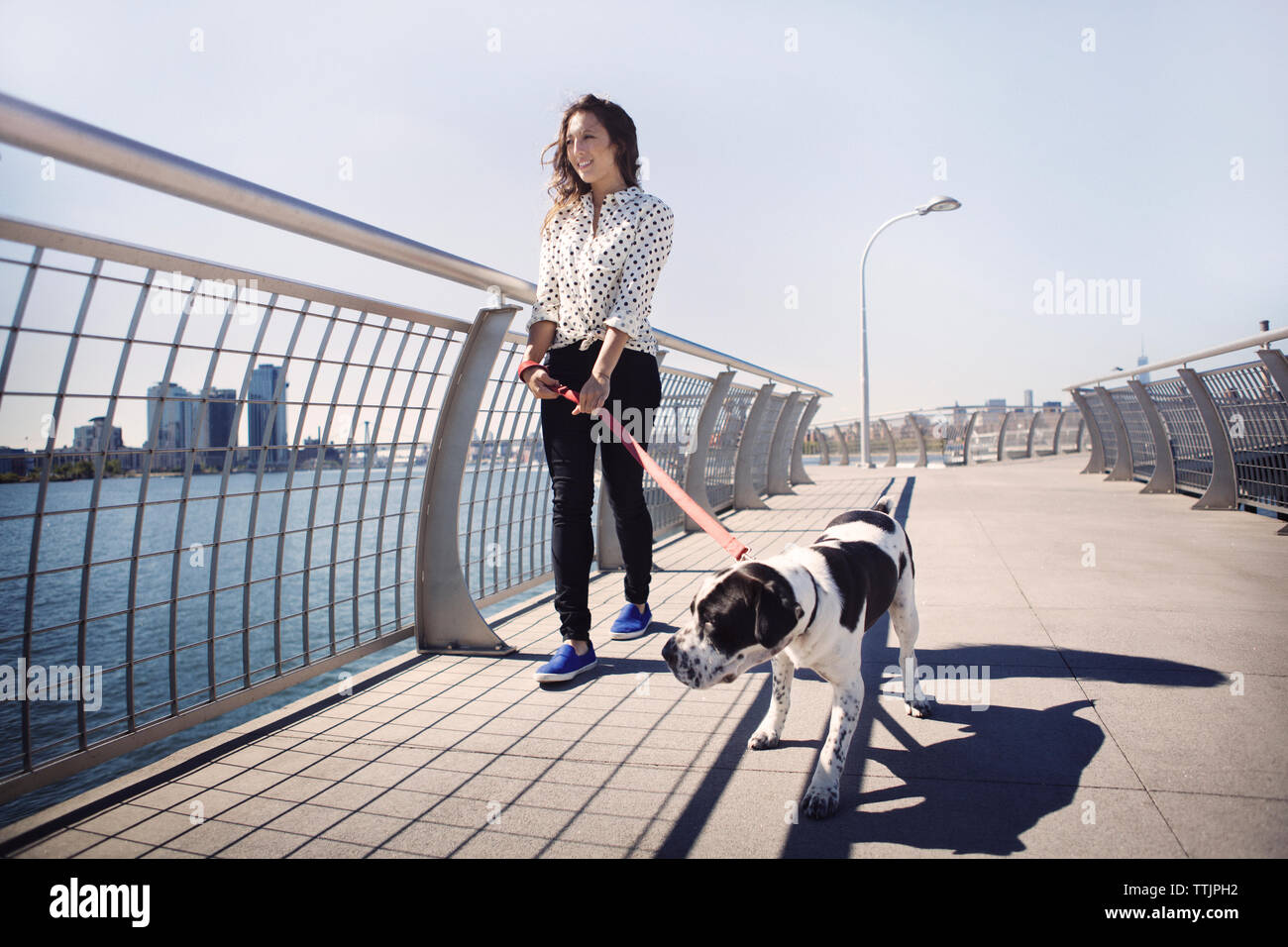 Smiling woman walking with dog by railing sur bridge contre ciel clair Banque D'Images