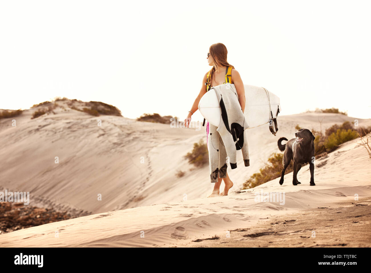 Woman carrying surfboard en marchant avec le chien sur le sable contre ciel clair Banque D'Images