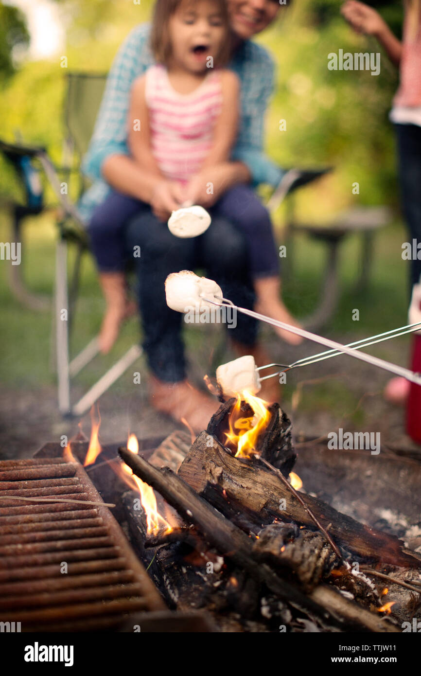 Tandis que les guimauves grillées famille camping en forêt Banque D'Images