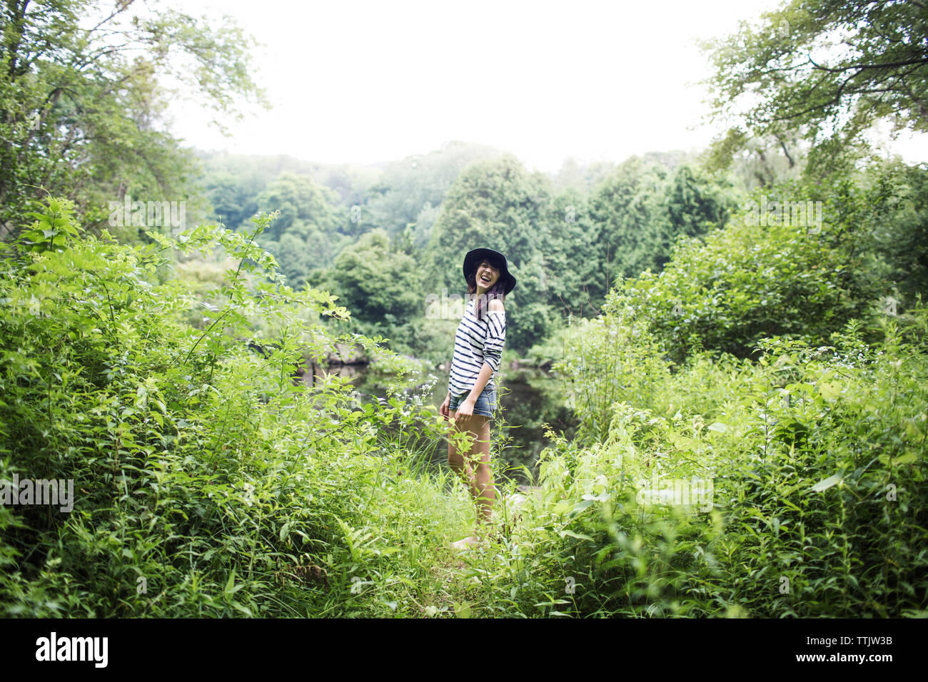 Woman looking away while standing in forest Banque D'Images