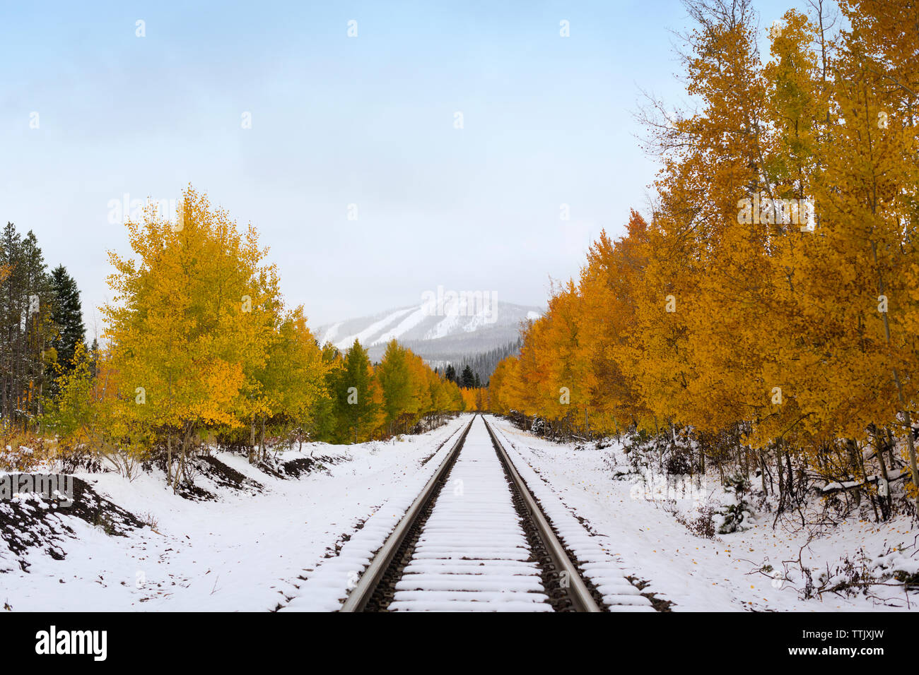 La neige sur la voie de chemin de fer au milieu d'arbres contre le ciel Banque D'Images