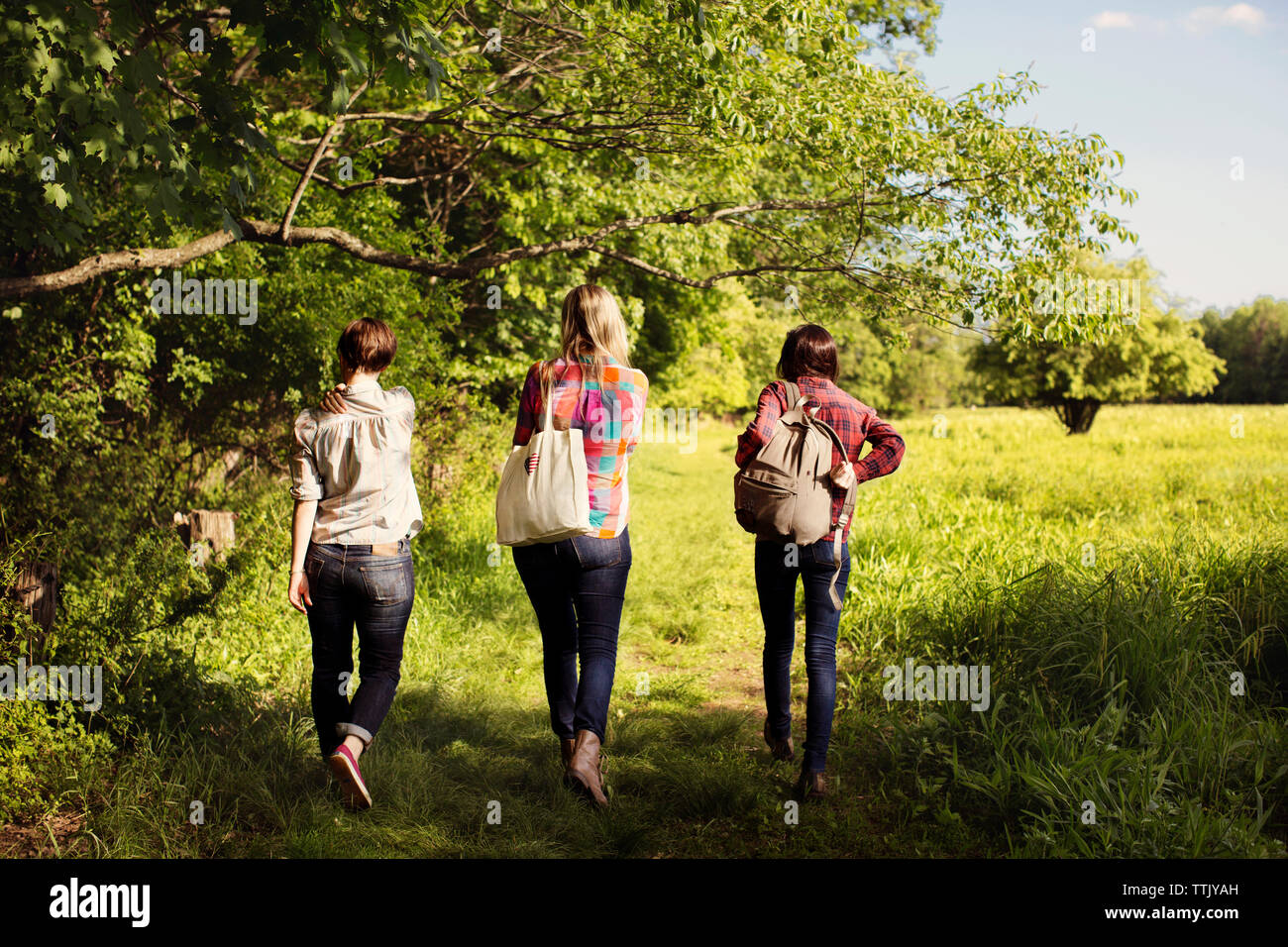 Vue arrière de la marche d'amis sur terrain en forêt Banque D'Images