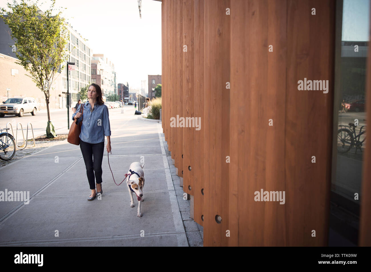 Thoughtful woman walking with dog on sidewalk par mur en bois en ville Banque D'Images