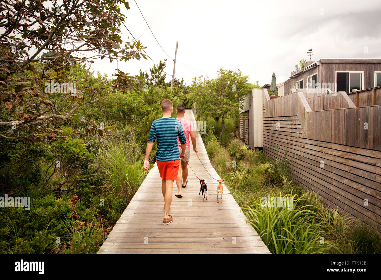 Vue arrière du gay men walking avec chis sur boardwalk par chambre Banque D'Images