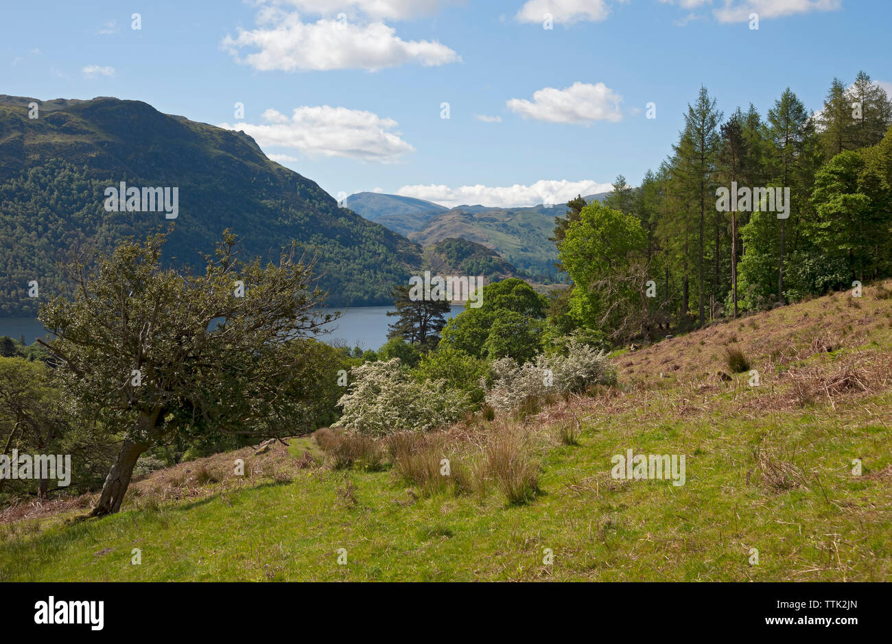 En regardant à travers Ullswater vers la place est tombé en été Lake District National Park Cumbria Angleterre Royaume-Uni Grande-Bretagne Banque D'Images