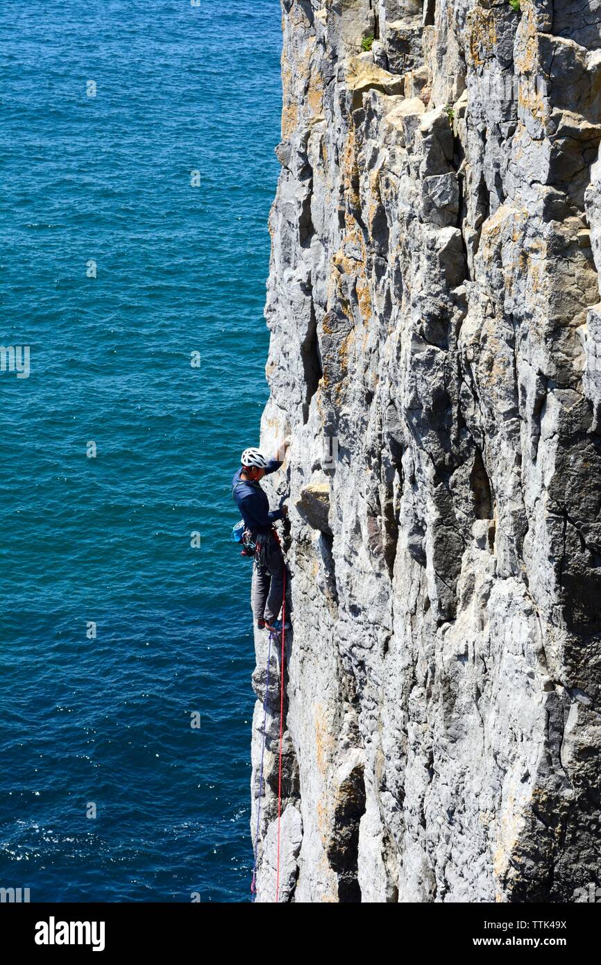 Climber climbing rock face près de roches pile Castlemartin Bosherston Parc National de Pembrokeshire Coast Wales Cymru UK Banque D'Images