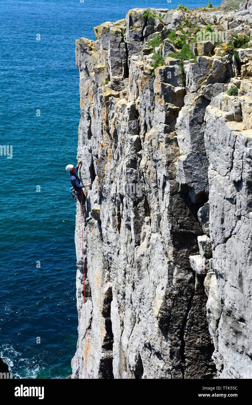 Climber climbing rock face près de roches pile Castlemartin Bosherston Parc National de Pembrokeshire Coast Wales Cymru UK Banque D'Images