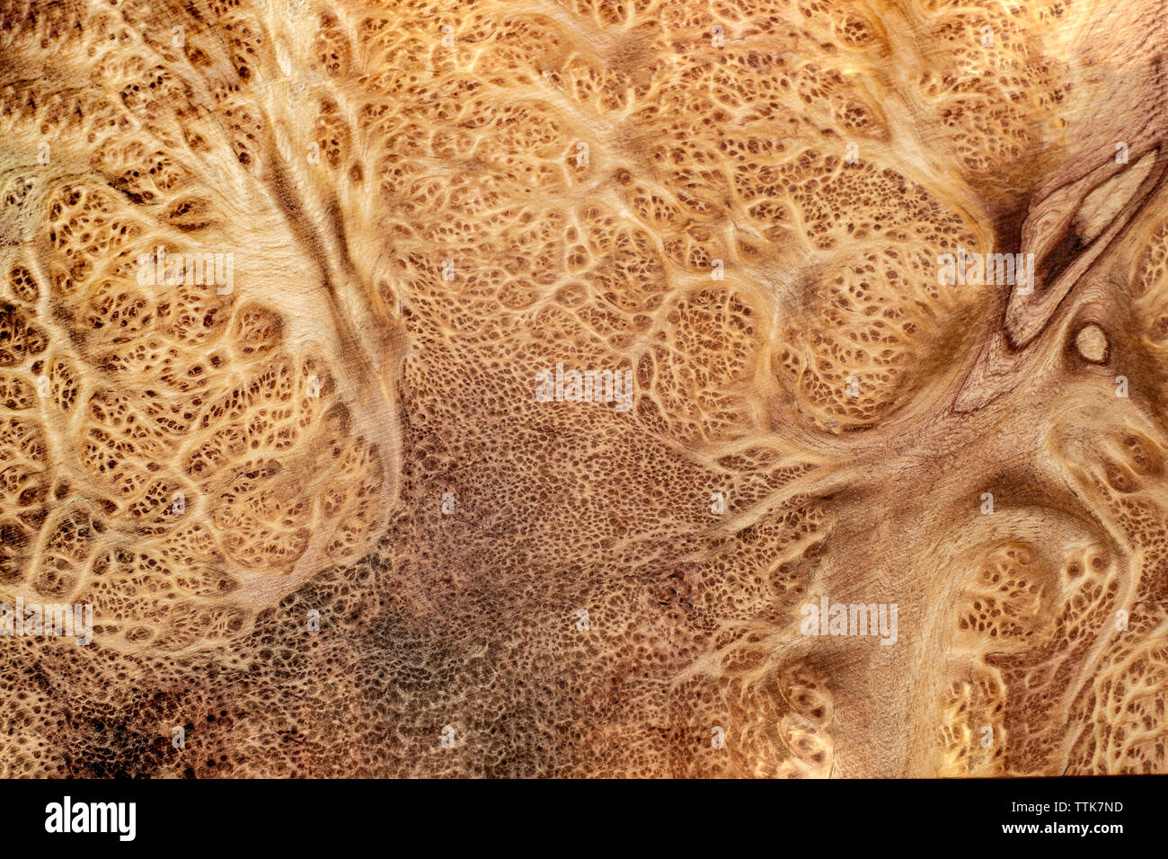 Du vrai bois noueux pour rayé photo imprime voiture décoration d'intérieur en bois exotique, beau modèle pour l'artisanat ou texture de fond de l'art abstrait Banque D'Images