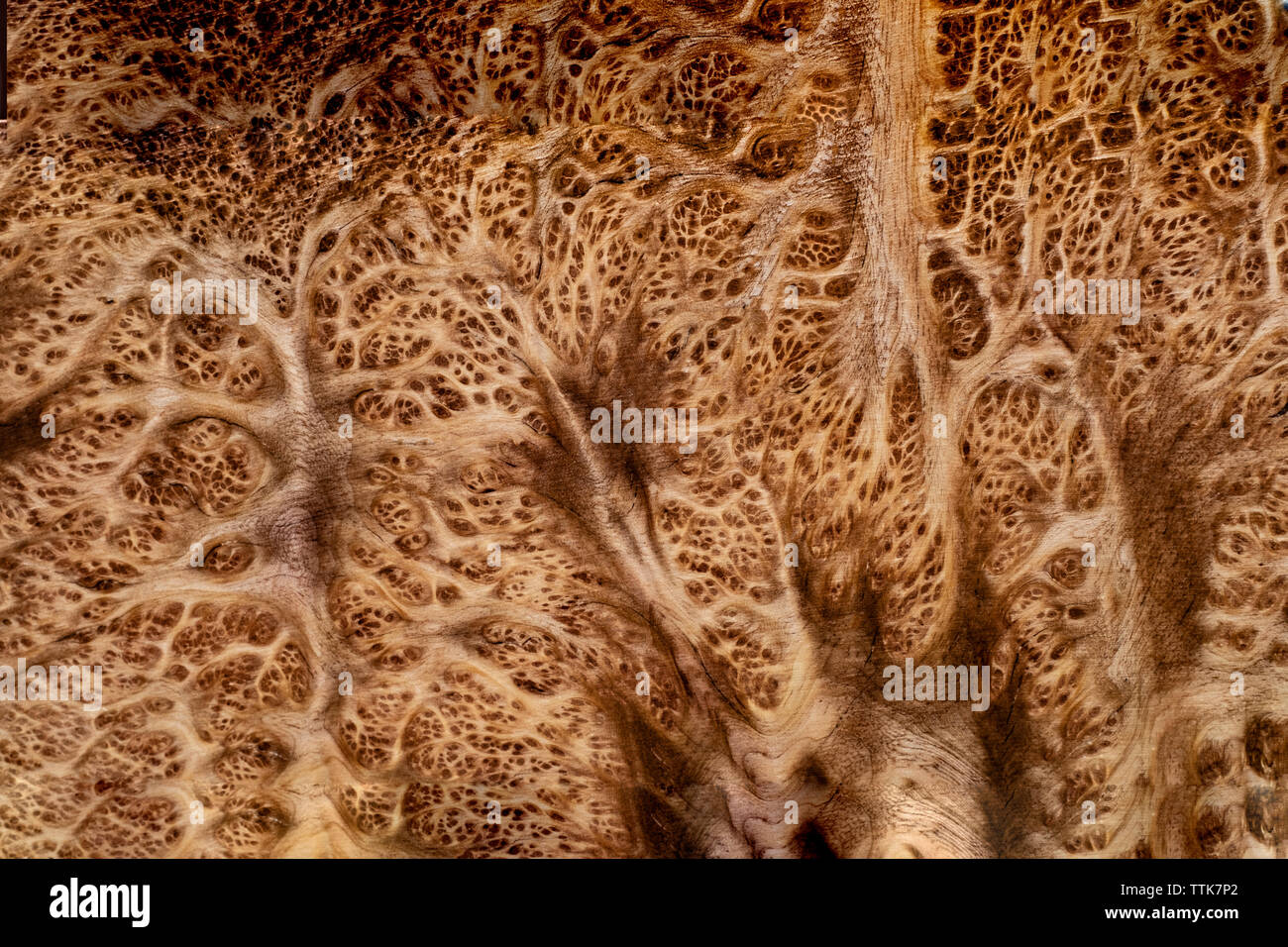 Du vrai bois noueux pour rayé photo imprime voiture décoration d'intérieur en bois exotique, beau modèle pour l'artisanat ou texture de fond de l'art abstrait Banque D'Images