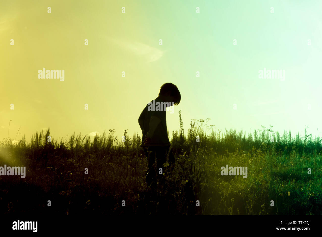 Garçon debout sur le terrain contre le ciel au coucher du soleil Banque D'Images