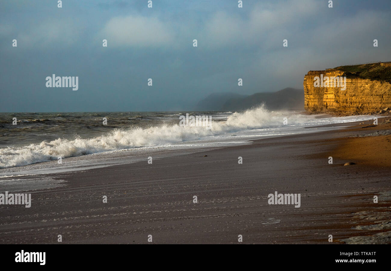 Plage ruche Dorset, vagues et falaises d'or Banque D'Images