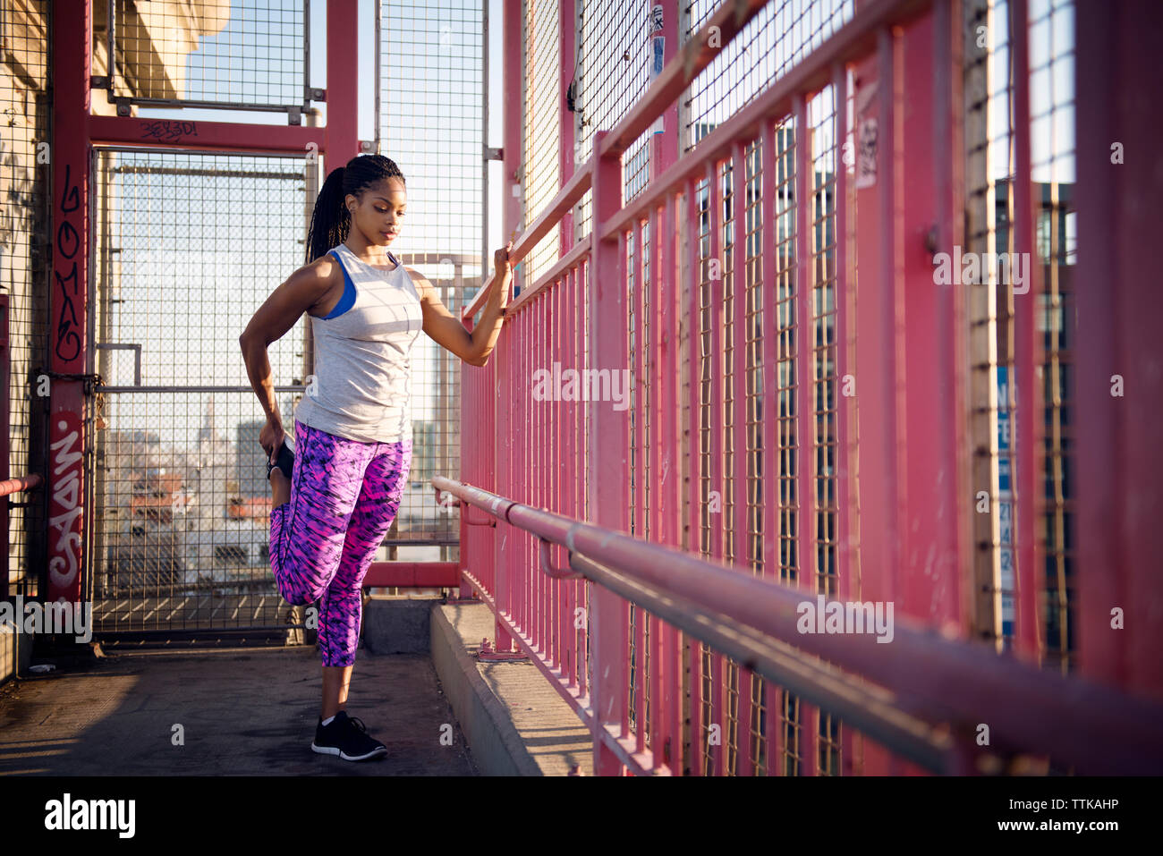 Portrait par clôture rose Banque D'Images
