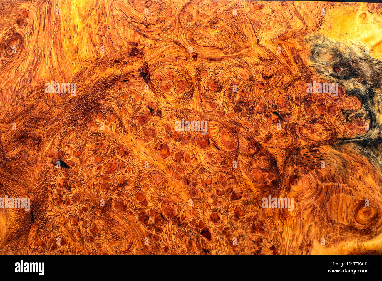 Texture bois noueux Nature Banque D'Images