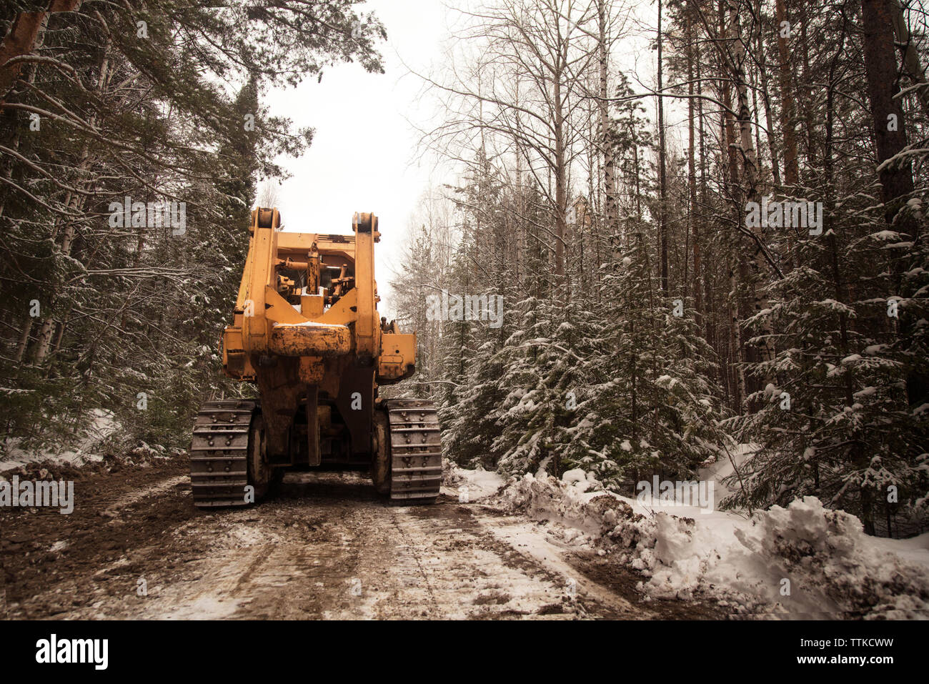 Earth Mover sur chemin de terre au milieu d'arbres en forêt durant l'hiver Banque D'Images