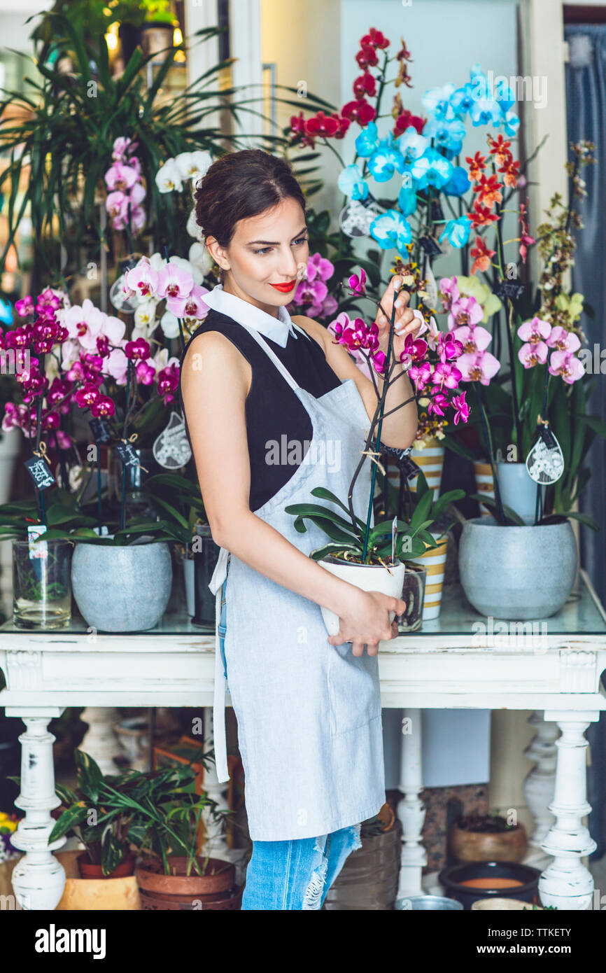 Fleuriste femme exerçant son pot de fleur orchidée boutique en Banque D'Images