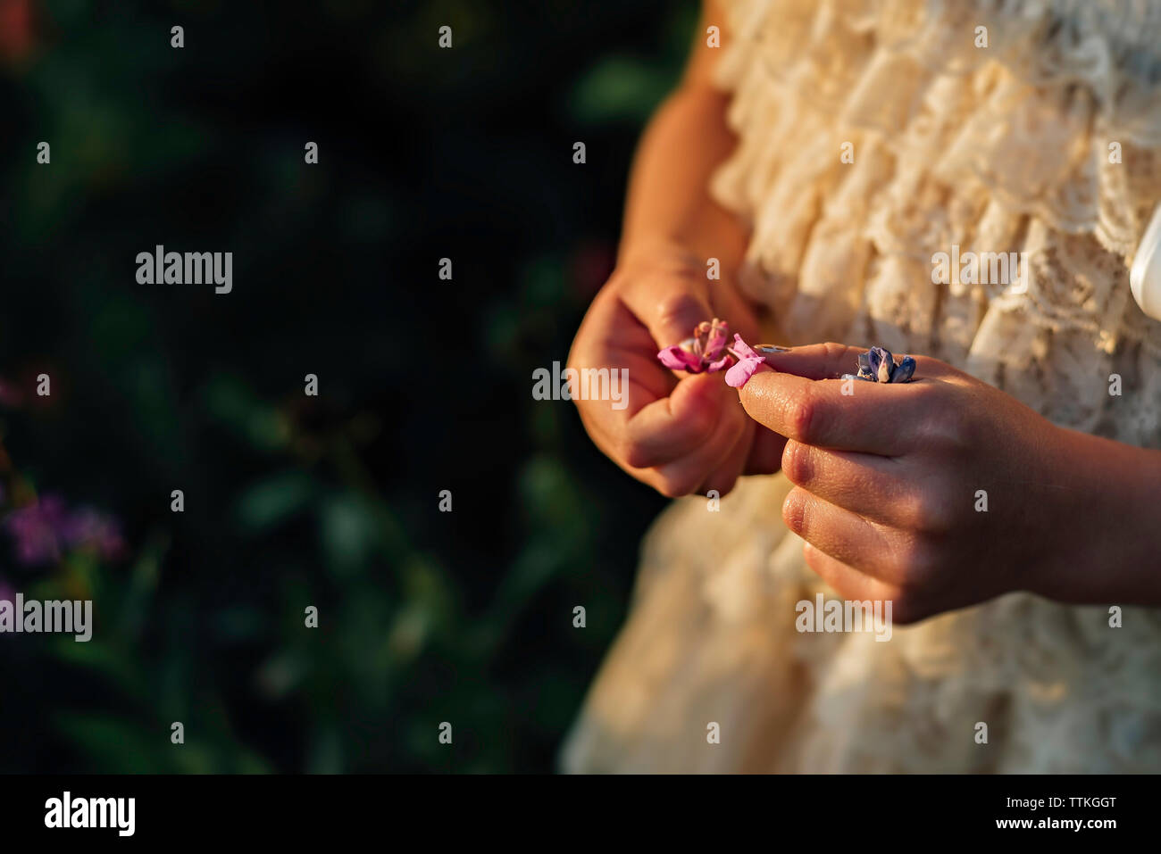 Portrait of Girl holding Flowers Banque D'Images