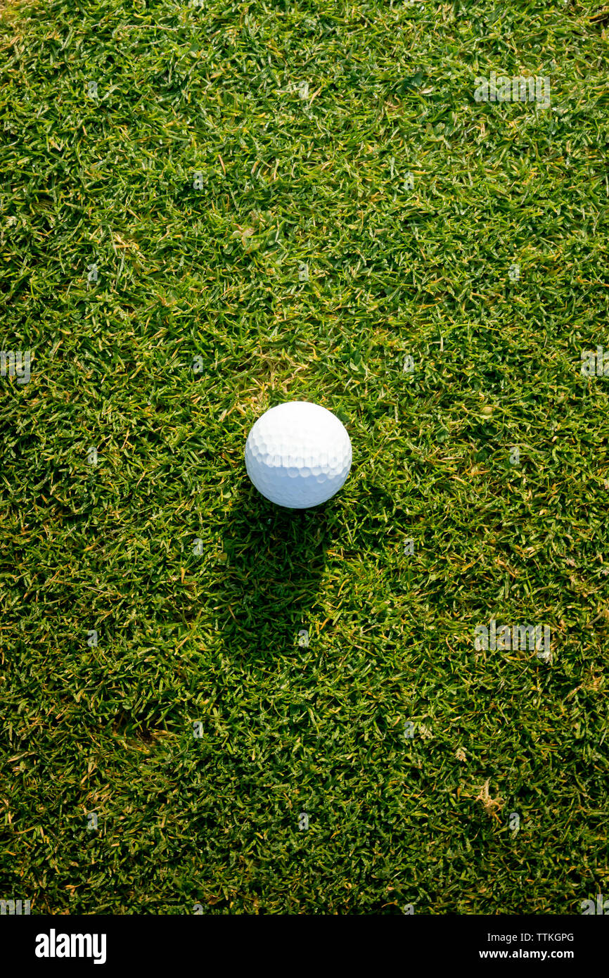High angle view of golf ball on grass Banque D'Images