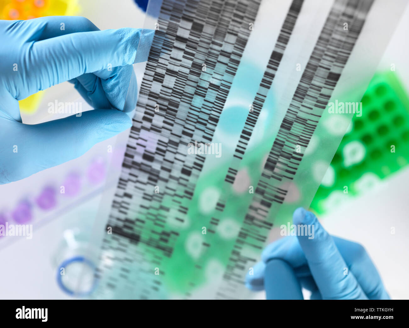 Portrait de mains gel d'ADN in laboratory Banque D'Images