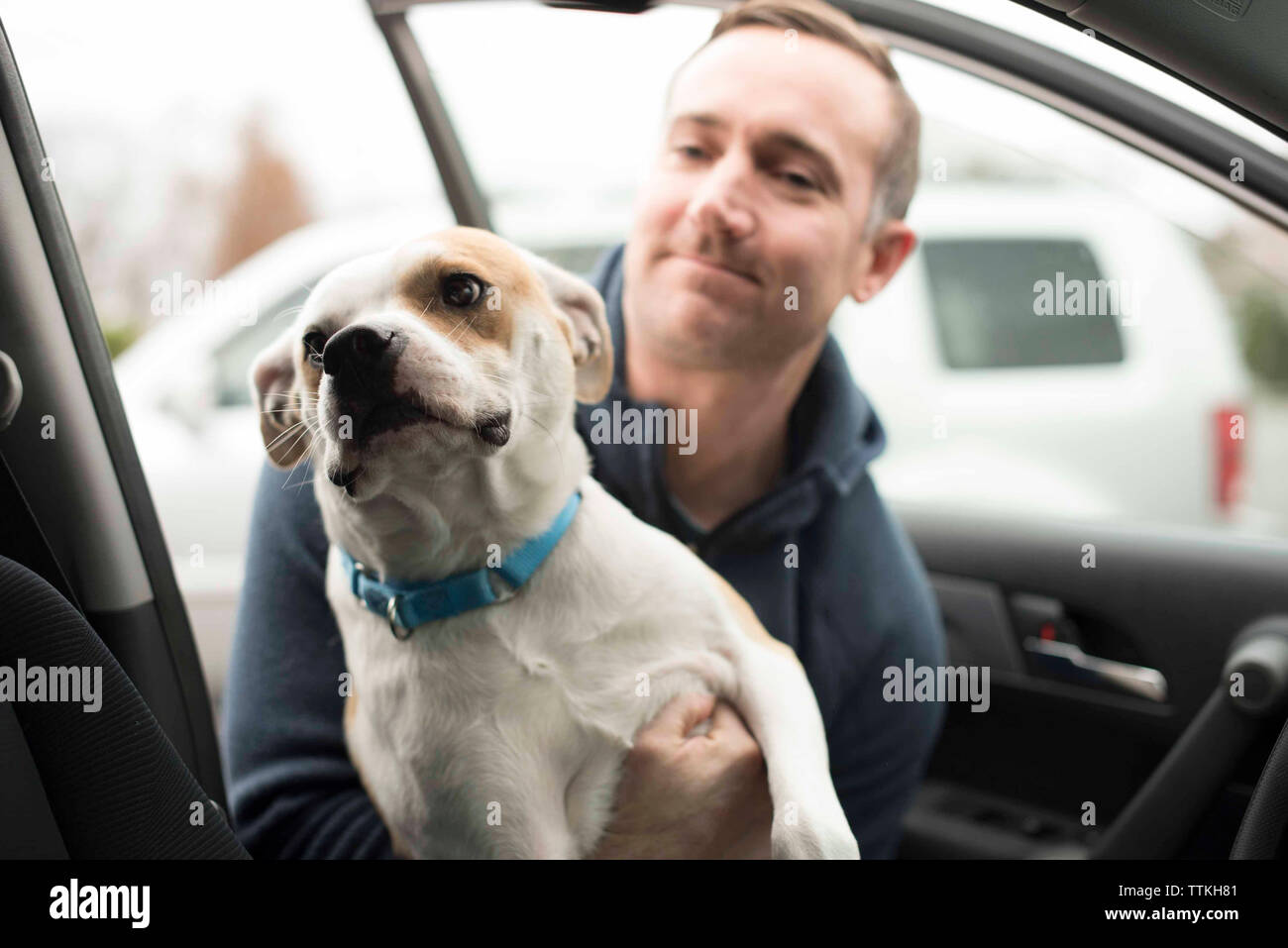 Man putting dog in car Banque D'Images